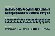 Bushman font set, a Sans Serif Font by Gleb Guralnyk (Thumbnail 7 of 8)