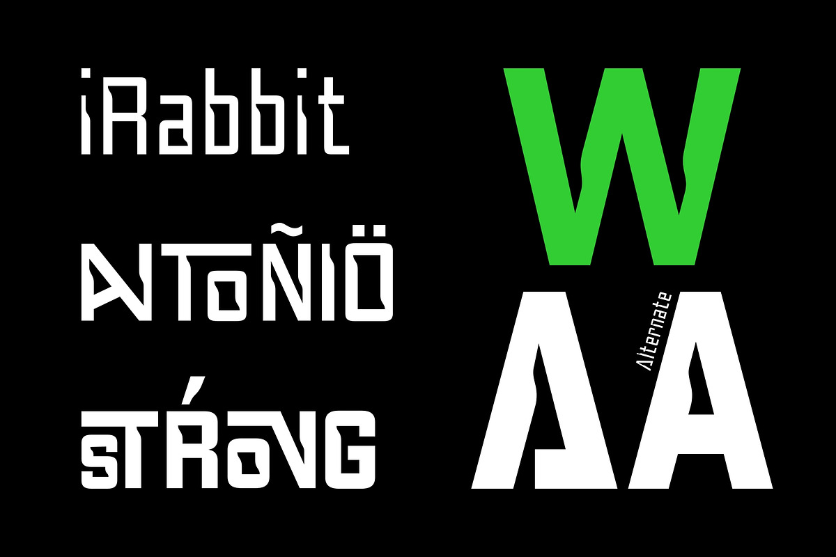 Anymspace - Modern Display Font, a Sans Serif Font by Attractype (Photo 2 of 8)