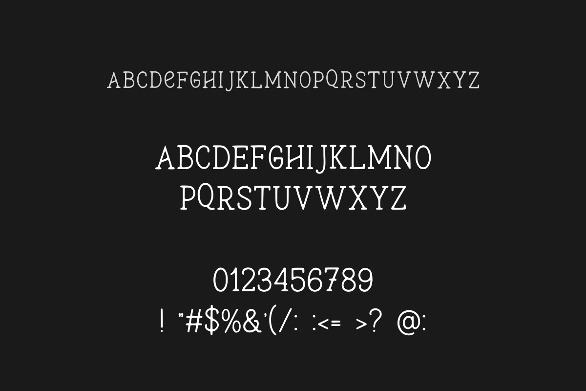 Marlowe Modern Mono Serif Typeface, a Serif Font by AN Productions (Photo 6 of 6)