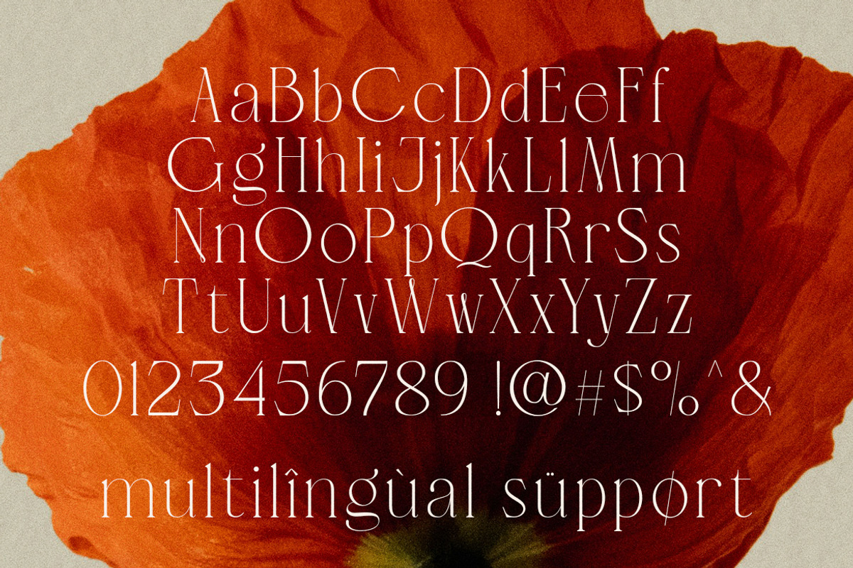 LT Verola – Rich Serif Ligature Type, a Serif Font by Luminotype (Photo 14 of 15)