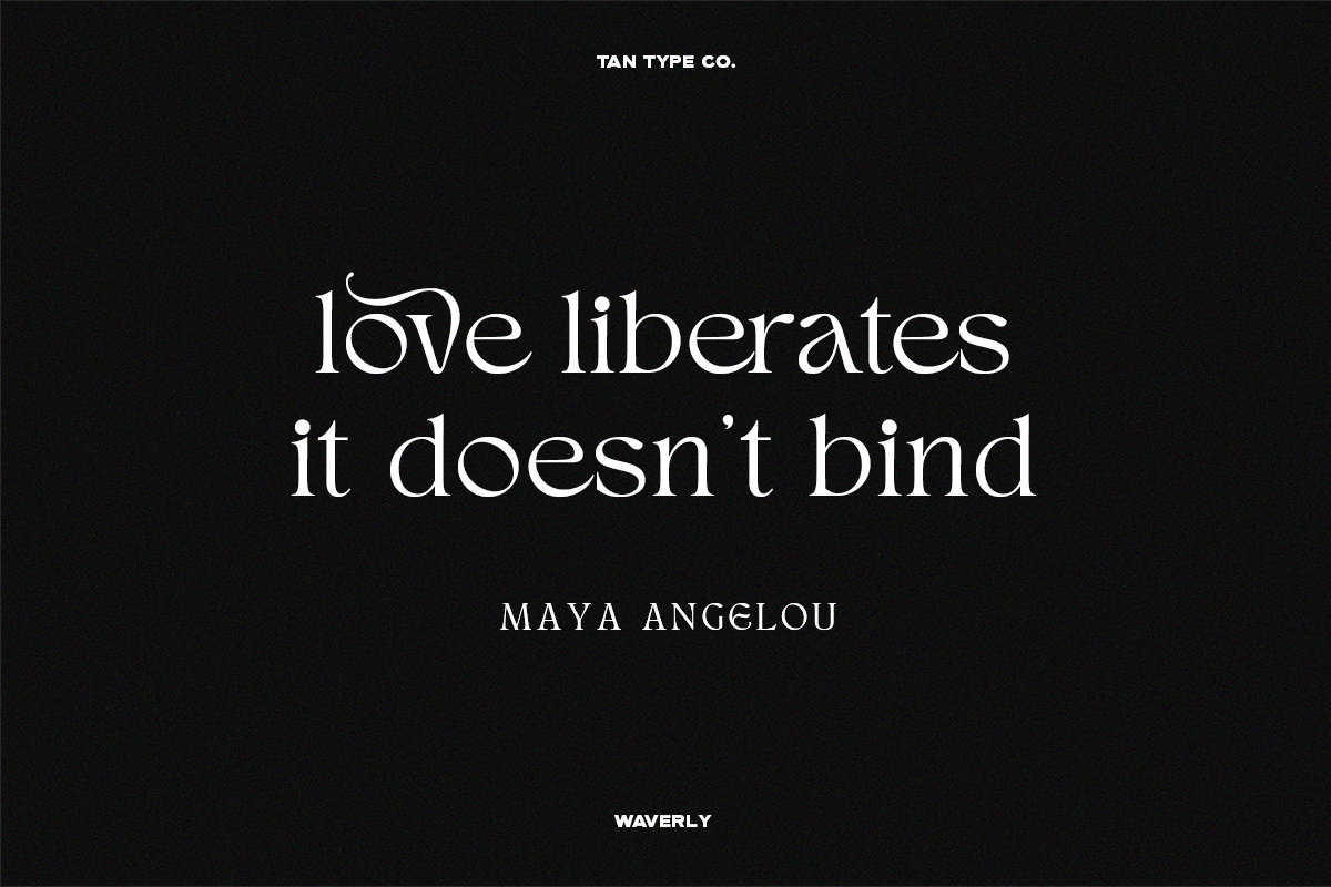TAN - WAVERLY, a Serif Font by TanType (Photo 21 of 22)