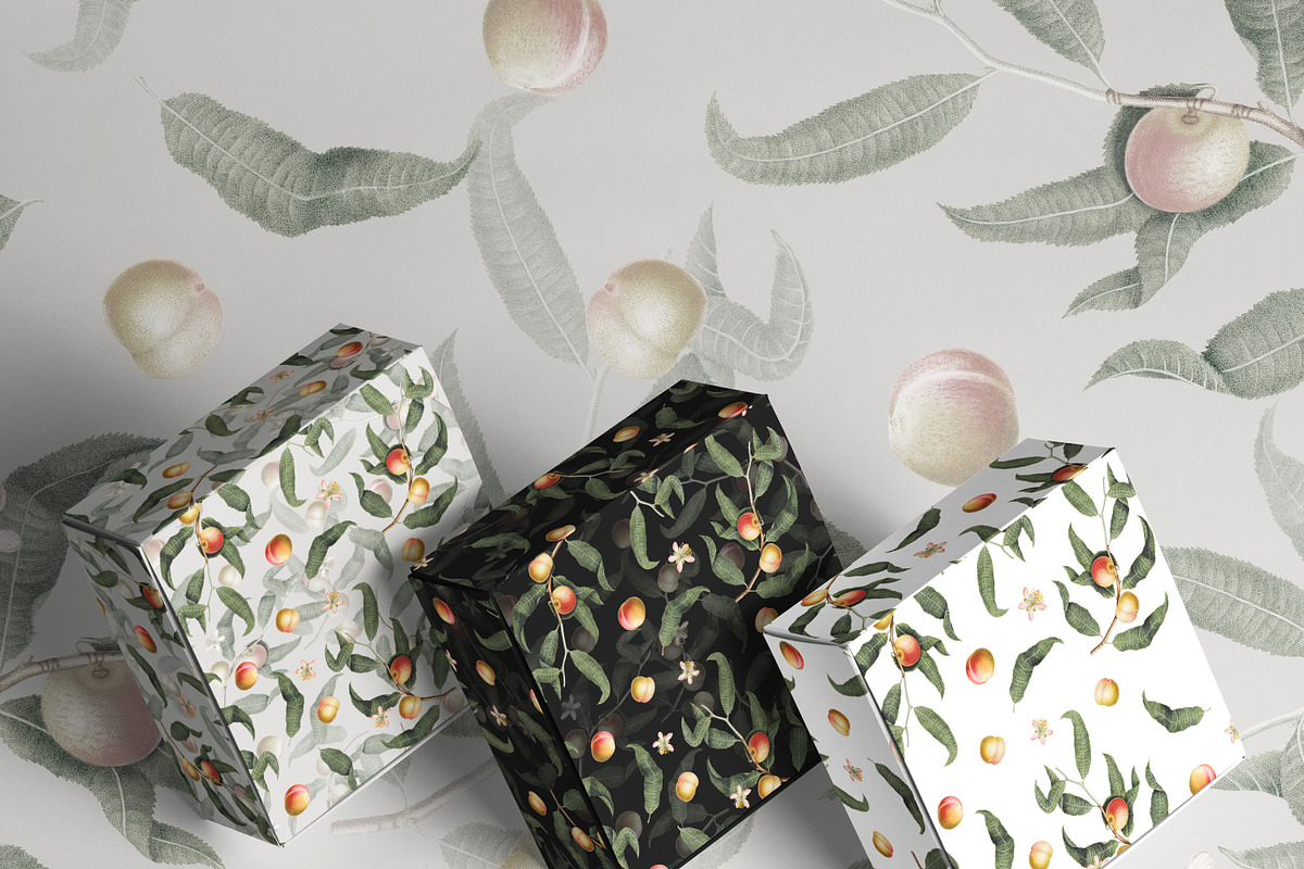 Vintage Peach Botanical Graphics #02, an Object Illustration by Olga Begak Art & Design (Photo 6 of 8)