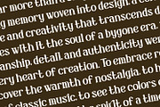 Demerique - Serif Typeface Font, a Serif Font by Rishsketch (Thumbnail 8 of 15)