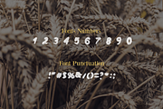 Willow Font - 50% Off, a Font by Shop (Thumbnail 3 of 6)