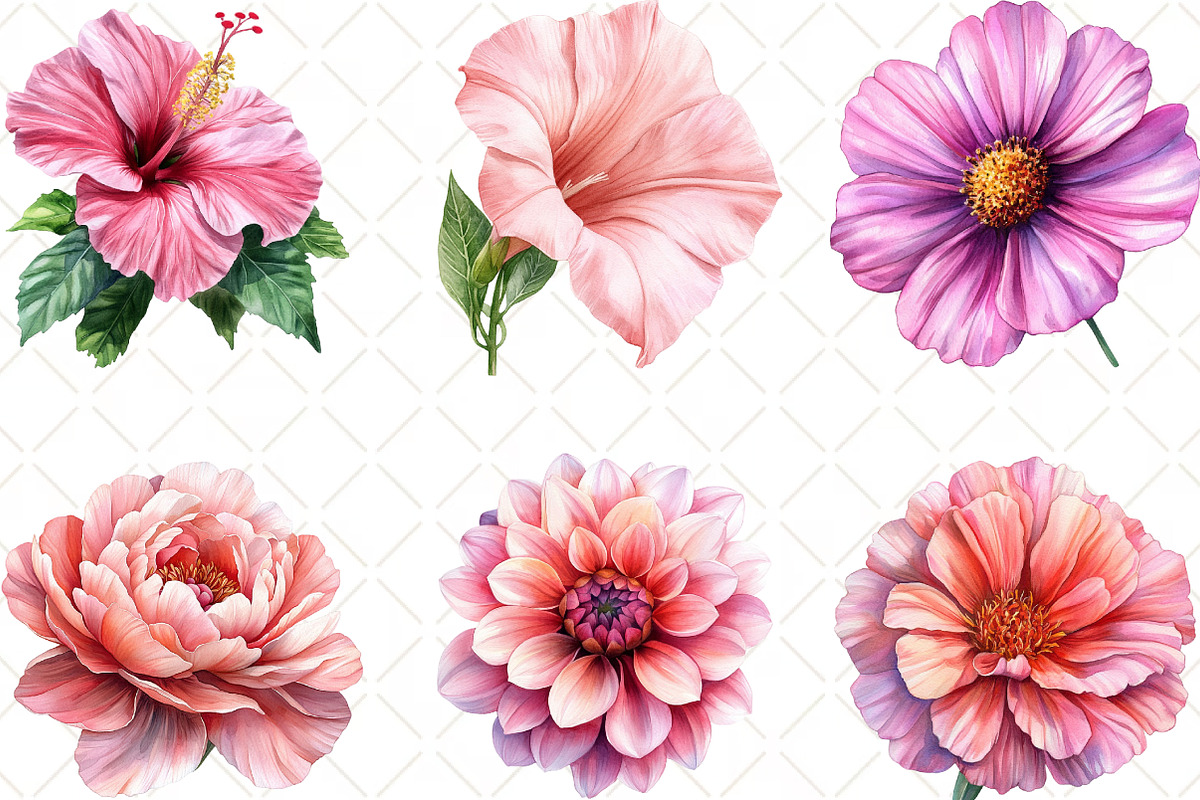 Pink Flowers Watercolor Clipart, an Illustration by Black Bird Studio (Photo 5 of 6)