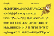 Enkyfa Serif Display Typeface, a Serif Font by timelesstype.co (Thumbnail 14 of 15)