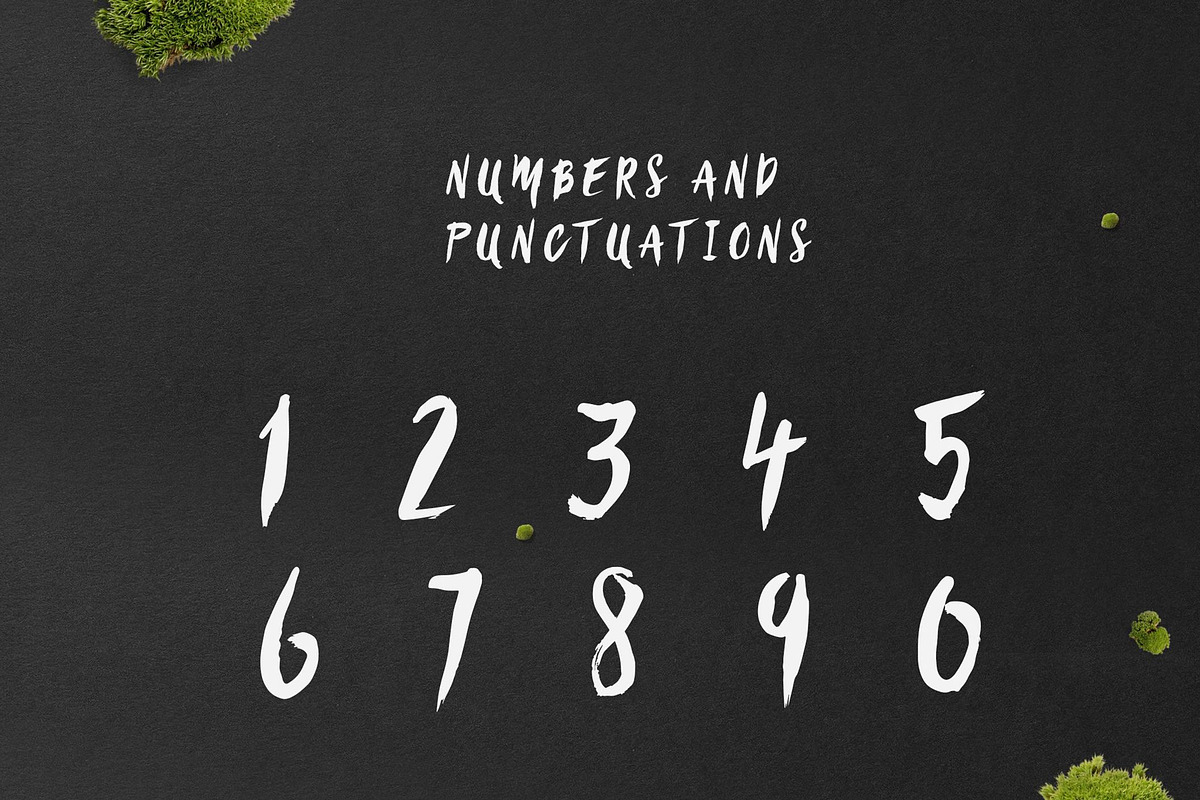 Sanös Brush Script Font preview 8