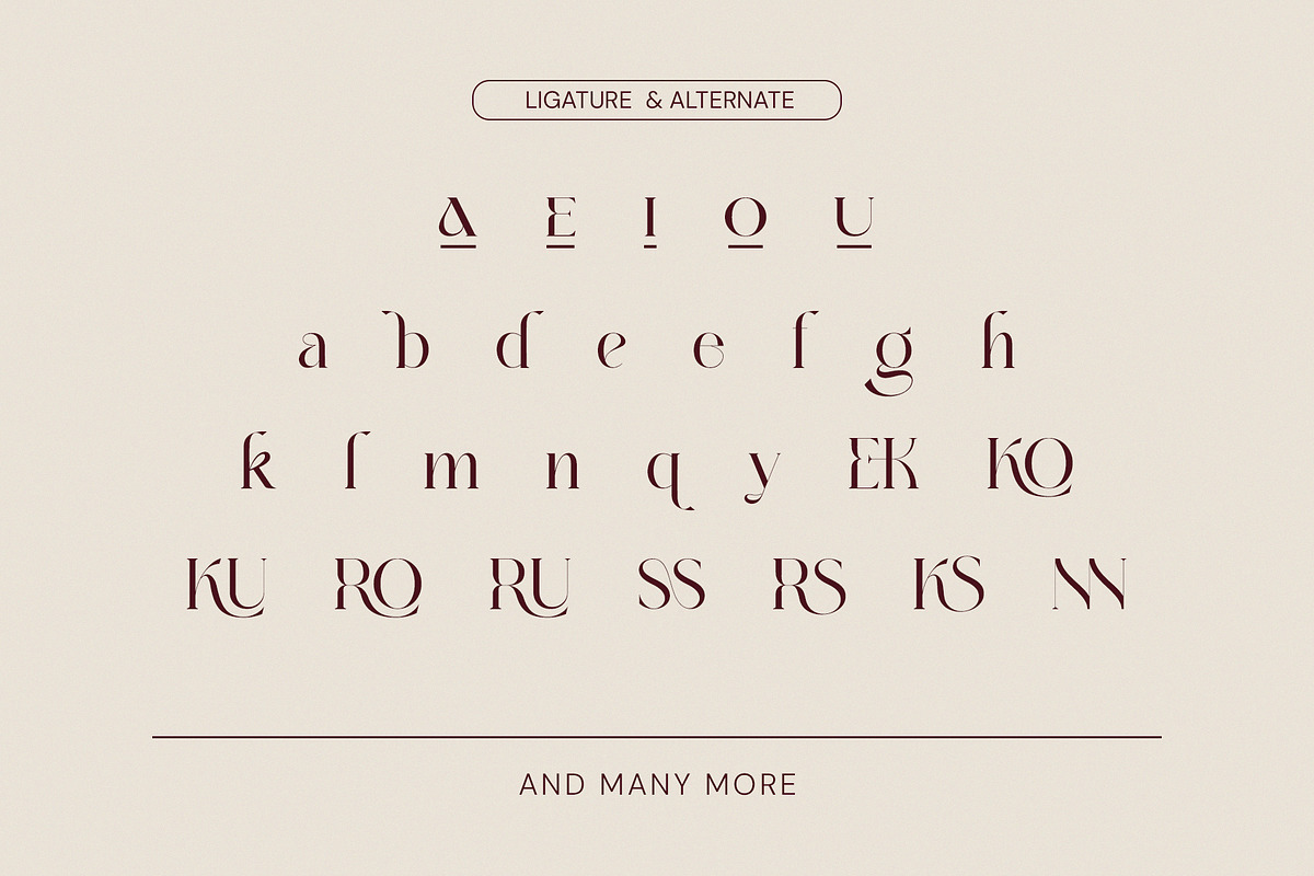 BOSHE Modern Serif Font, a Serif Font by BOOSH Studio (Photo 11 of 12)