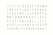 Winter Foliage collection, a Decorative Illustration by Merfin (Thumbnail 5 of 14)
