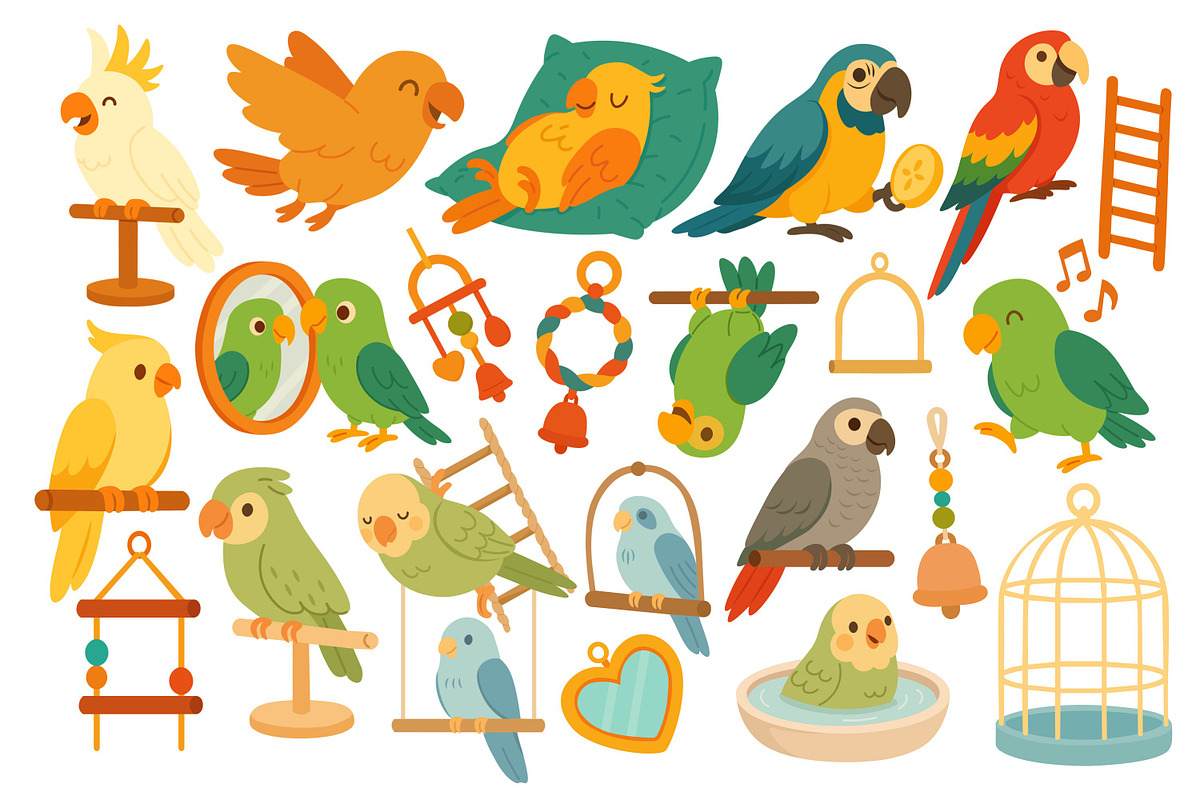 Cute Parrots Clipart Set, an Animal Illustration by ananastya (Photo 2 of 3)