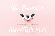Fonts bundle - 12 fonts, a Handwritten Font by Creator Goodies (Thumbnail 24 of 37)