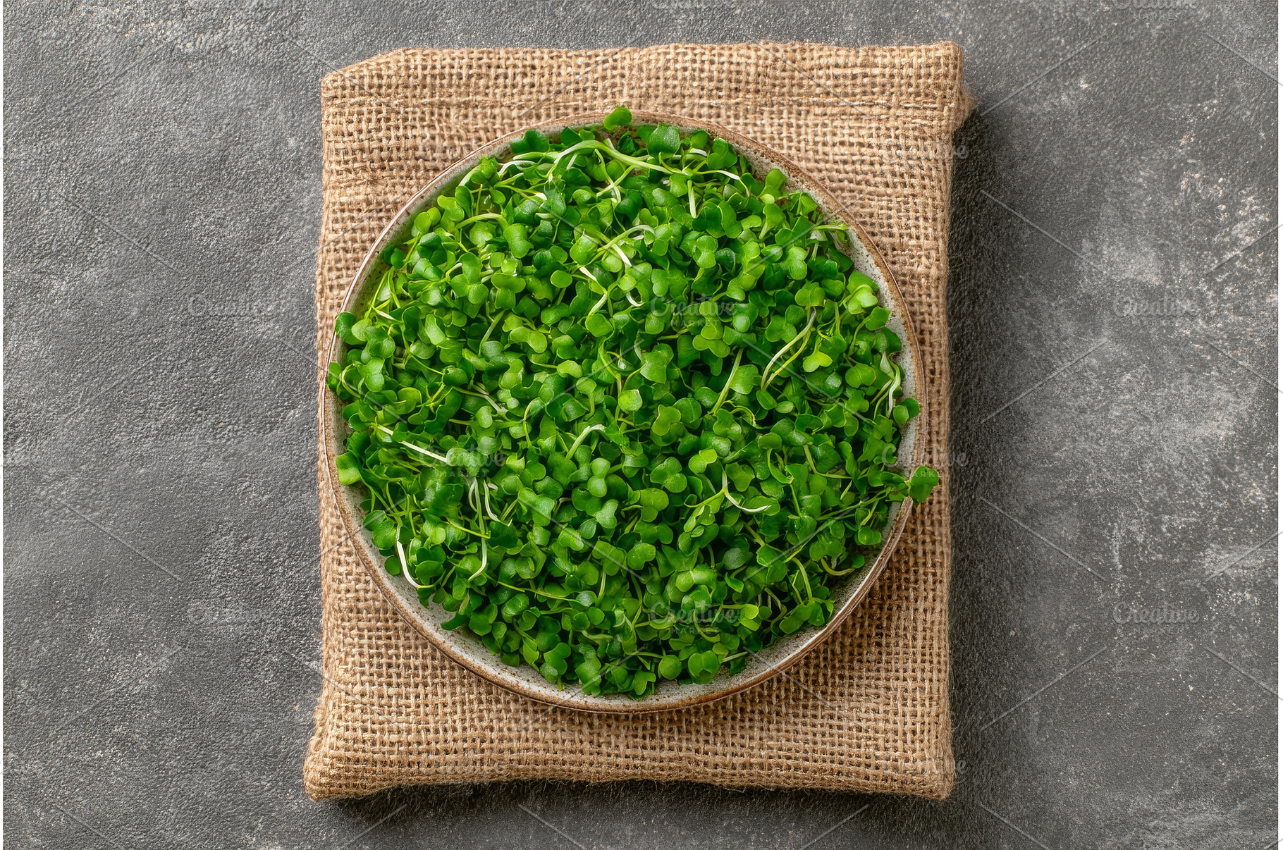 Microgreens are arranged on a white, a Food & Drink Photo by ZinetroN