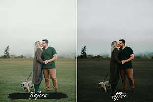 10 Moody Green Lightroom Presets