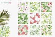 Tropical Flowers. Exotic flora set, an Illustration by Tata Pilip (Thumbnail 12 of 21)