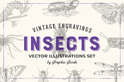 Insects - Vintage Illustrations, an Illustration by Graphic Goods (Thumbnail 1 of 10)