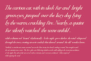 Octoplant, a Serif Font by LetterStock (Thumbnail 3 of 6)
