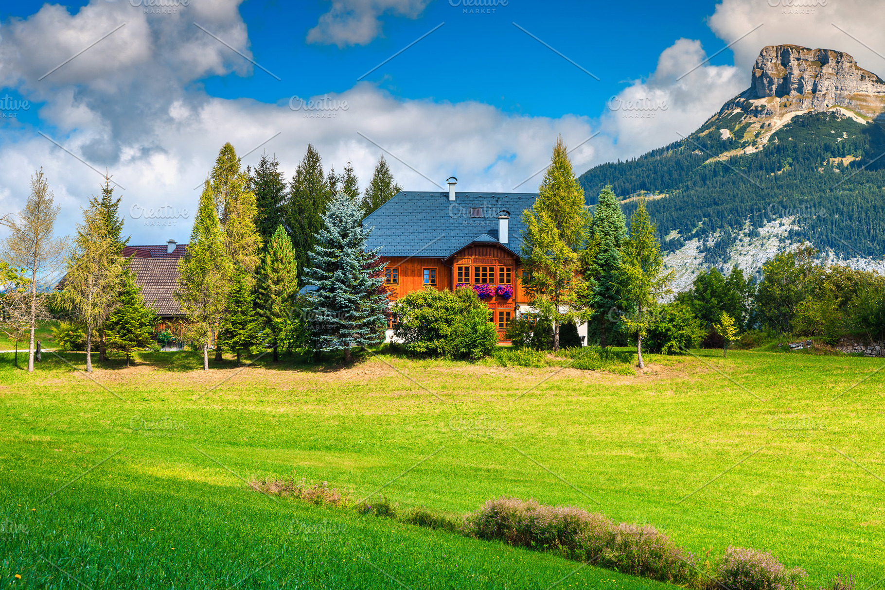 Beautiful alpine green fields, an Architecture Photo by Alpine Dreams