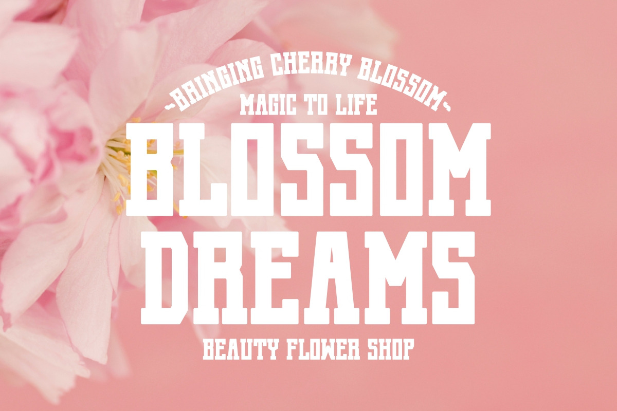 Cherry Blossom - Modern Slab Serif, a Slab Serif Font by Pian45 Studio (Photo 3 of 8)
