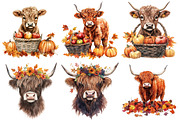 Watercolor Autumn Highland Cow, an Illustration by CitraGraphics (Thumbnail 4 of 6)