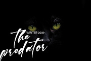 Balonesti Black Friday, a Script Font by pineungtype (Thumbnail 4 of 7)