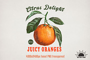 Vintage Fruits Sublimation Bundle, an Object Graphic by GlitterCraft (Thumbnail 15 of 21)