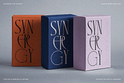 SLTF Rogue Rebellion - Ligature Font, a Serif Font by SilverStag Type Foundry (Thumbnail 10 of 30)