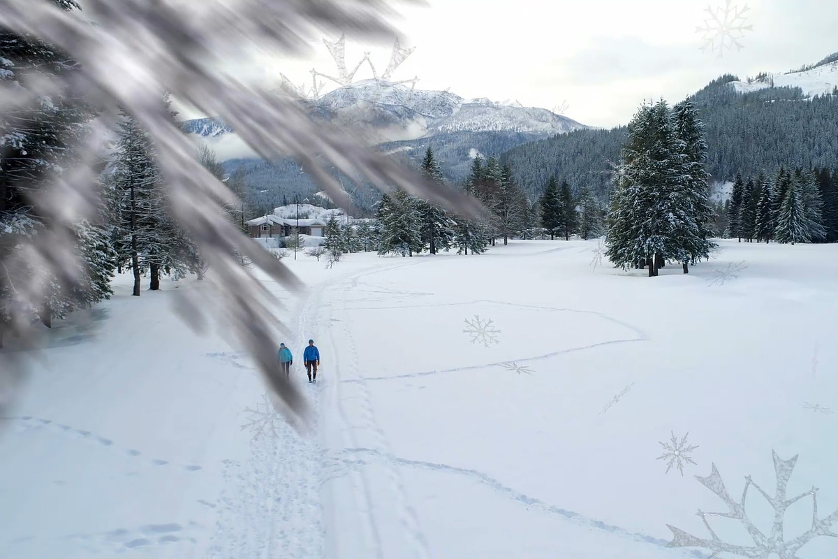 Snow 2 Styles Transitions 2 AEP, a Branding & Logo Template by Josep Motion (Photo 2 of 2)