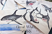 Watercolor Great White Sharks Set, an Animal Illustration by MayaNavits (Thumbnail 7 of 7)