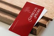 Avins Bake - Decorative Serif Font, a Serif Font by StringLabs (Thumbnail 2 of 9)