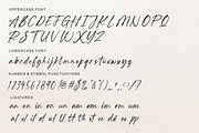 Seraphica Tropise, a Script Font by Shopifont.co (Thumbnail 12 of 13)