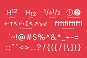 Kota Sans Modern Geometric Family, a Sans Serif Font by Lettertype Studio (Thumbnail 10 of 15)