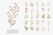 a wildflower meadow clipart set, a Decorative Illustration by Patishop Art (Thumbnail 2 of 12)