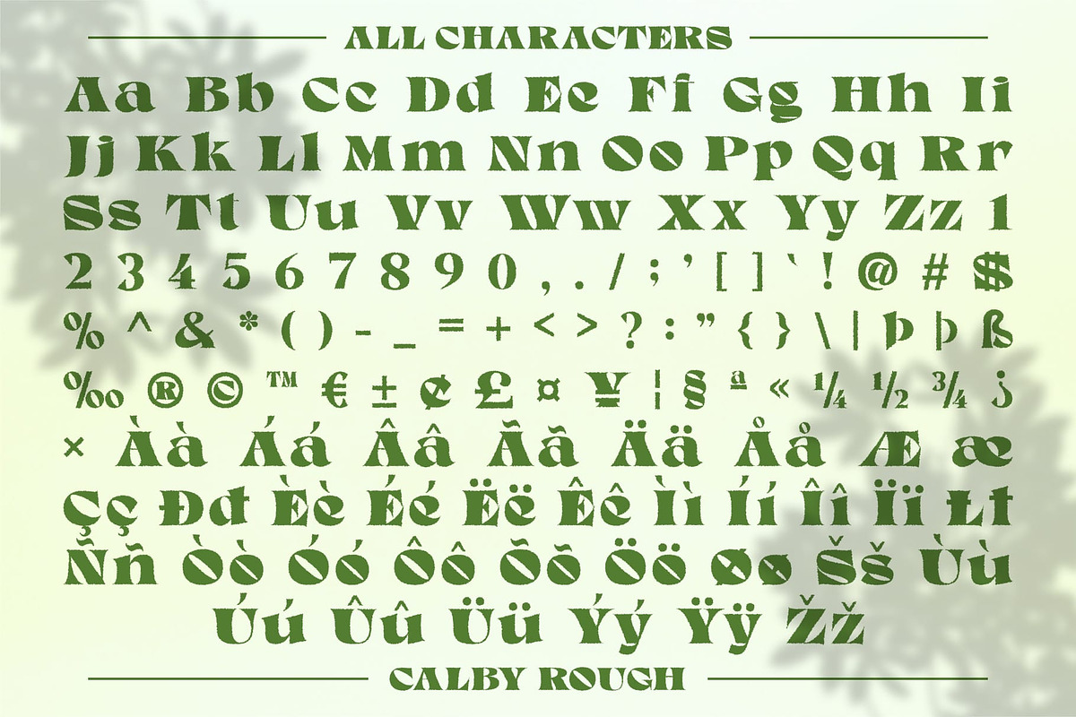 Calby Rough, a Serif Font by Craft Supply Co. (Photo 8 of 8)