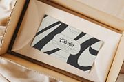Bellavine, a Serif Font by din-studio.com (Thumbnail 10 of 11)