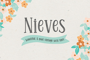 Nieves - neat vintage serif font