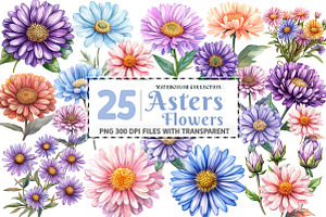 Watercolor Aster Flowers Botanical C, an Illustration by Watercolor design