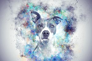 Colored Pet Portrait PS Action