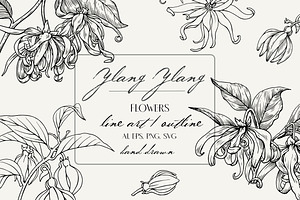 Flowers Ylang Ylang. Botanical set