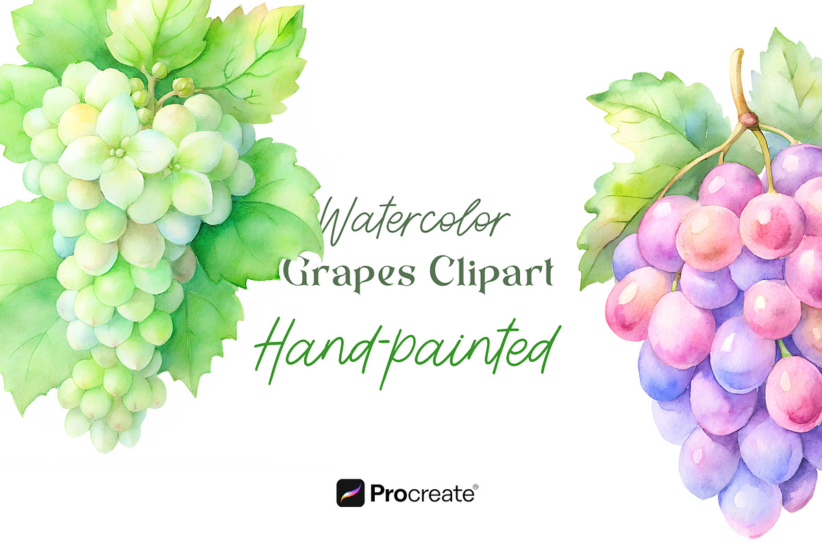 Watercolor Grapes Clipart, an Object Illustration by crafty (Photo 1 of 11)