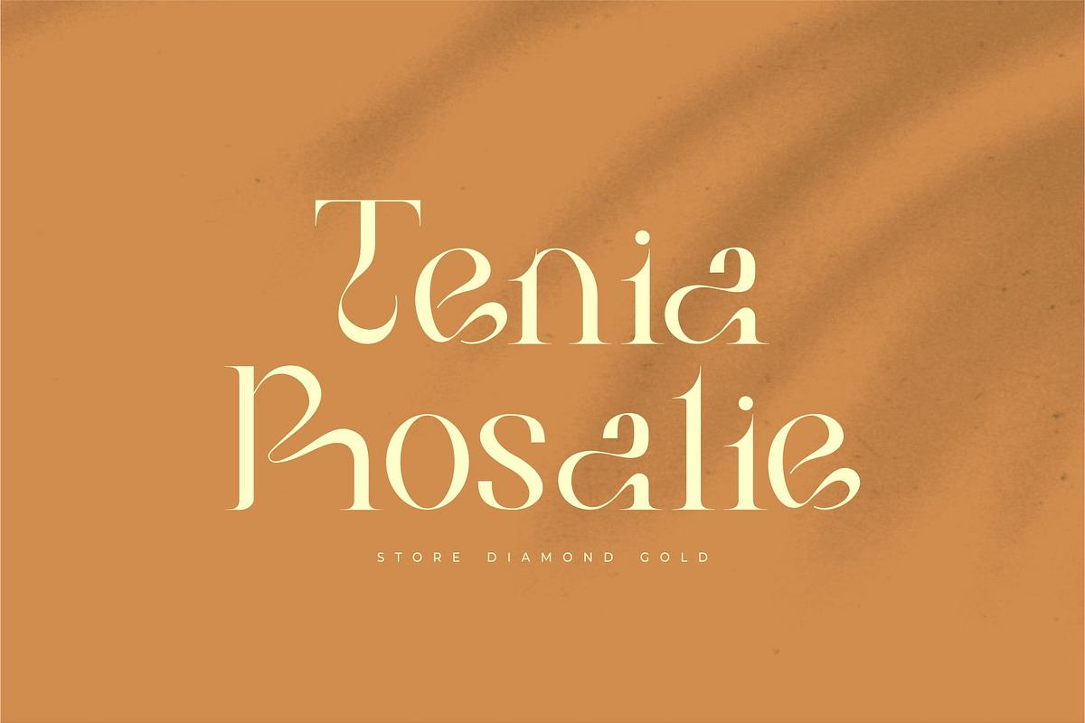 Bilea - Unique Brilliant Font, a Serif Font by suhadidesign (Photo 3 of 14)
