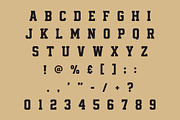 Vintage Scholar, a Slab Serif Font by Limited.studio (Thumbnail 7 of 7)