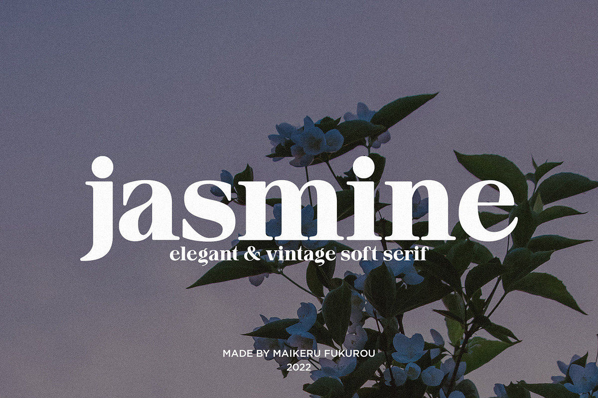 jasmine - elegant soft serif, a Serif Font by Mikhail Fukurou (Photo 9 of 11)