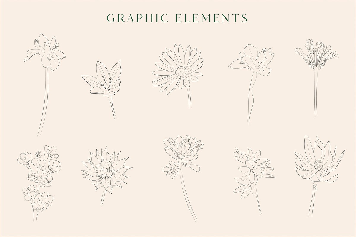Line Art Floral Graphic Elements, a Decorative Illustration by CL Creative Studio (Photo 3 of 11)