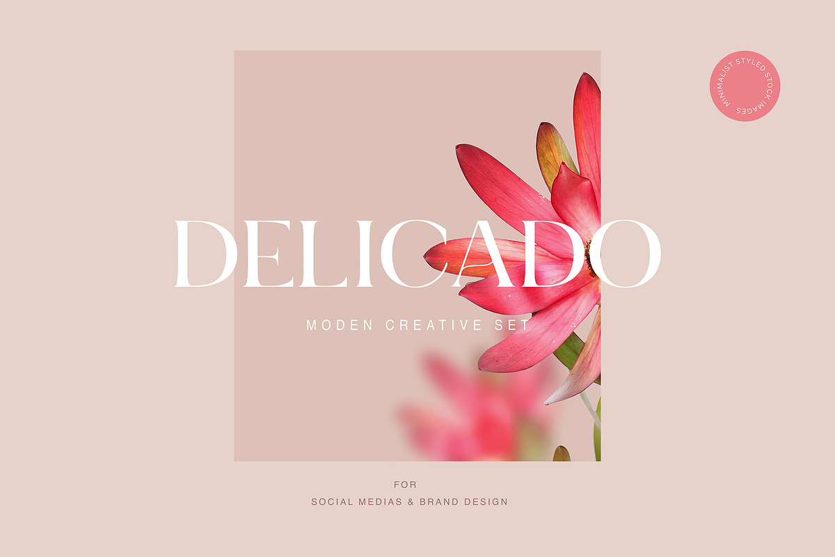 #2 Delicado. Branding & social media, a Presentation Template by StudioPhoto (Photo 6 of 8)
