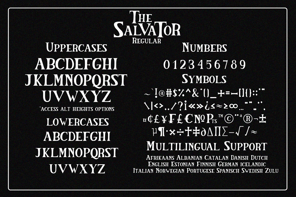 The Salvator - Vintage Font Package, a Serif Font by Dm Studio (Photo 11 of 12)