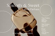 La Segar - Modern Elegant Serif Font, a Serif Font by Almeera Std (Thumbnail 3 of 6)