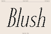 Papike Pixel, a Serif Font by Craft Supply Co. (Thumbnail 2 of 8)