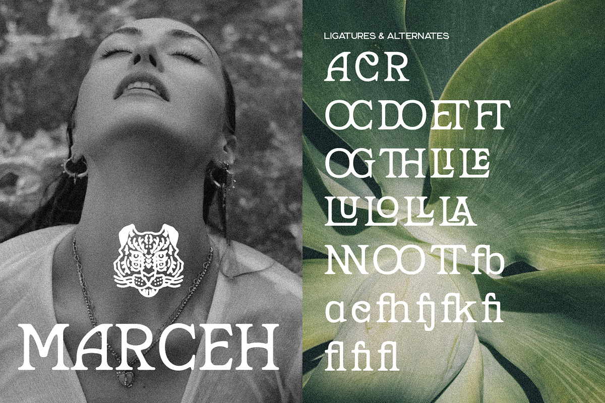Marzena Display Font, a Slab Serif Font by Hishand Studio (Photo 2 of 10)