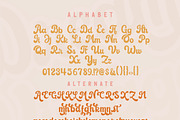 Dream Vintage, a Handwritten Font by Mini_World (Thumbnail 2 of 5)