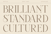Sefilla | Modern Stylistic serif, a Serif Font by roomspace creative lab (Thumbnail 9 of 15)